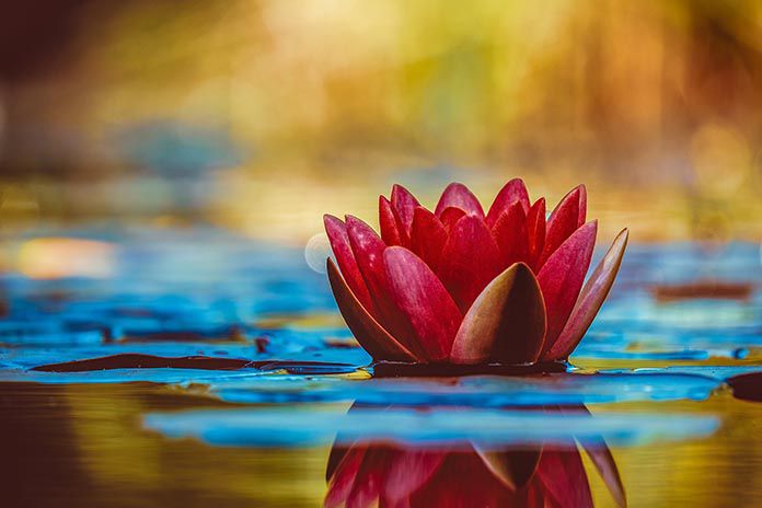 Foto de Couleur en Pexels