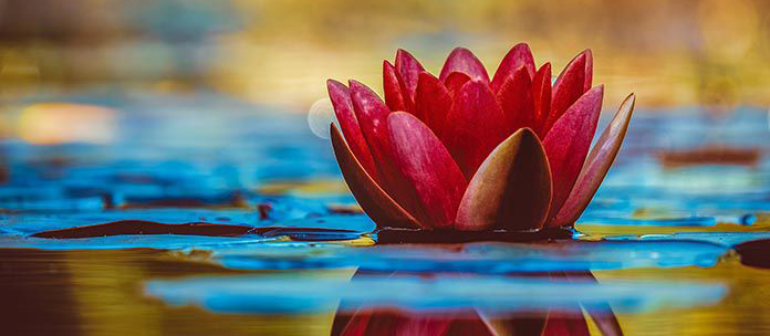 Foto de Couleur en Pexels