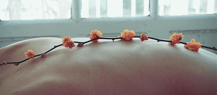 Foto de Life Of Pix en Pexels